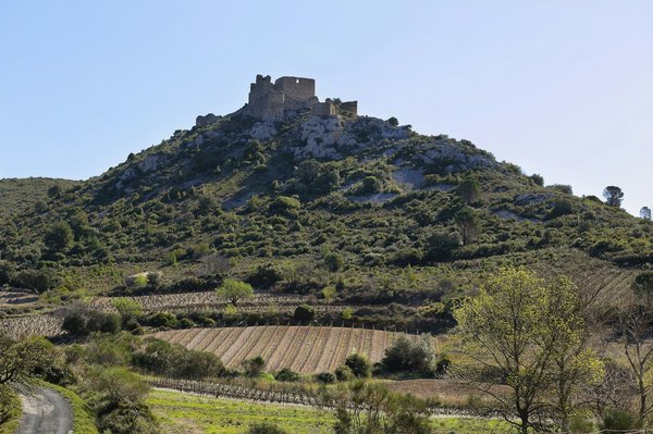 What are the top places to learn about the history of British literature?