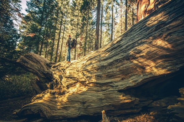 How to explore the industrial history of Birmingham through guided tours?